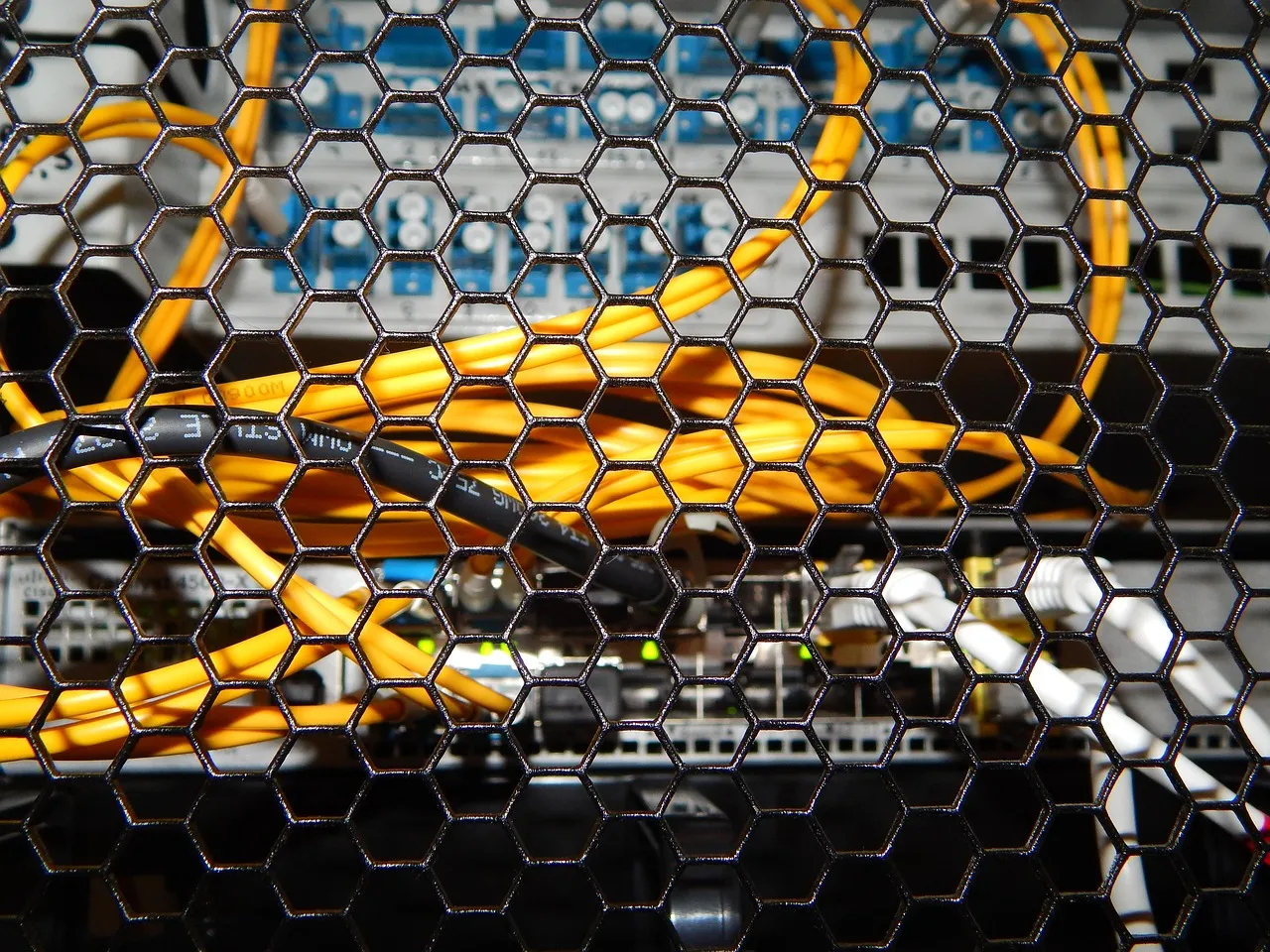 Orangefarbene Kabel hinter dem Lochblech eines Serverschranks