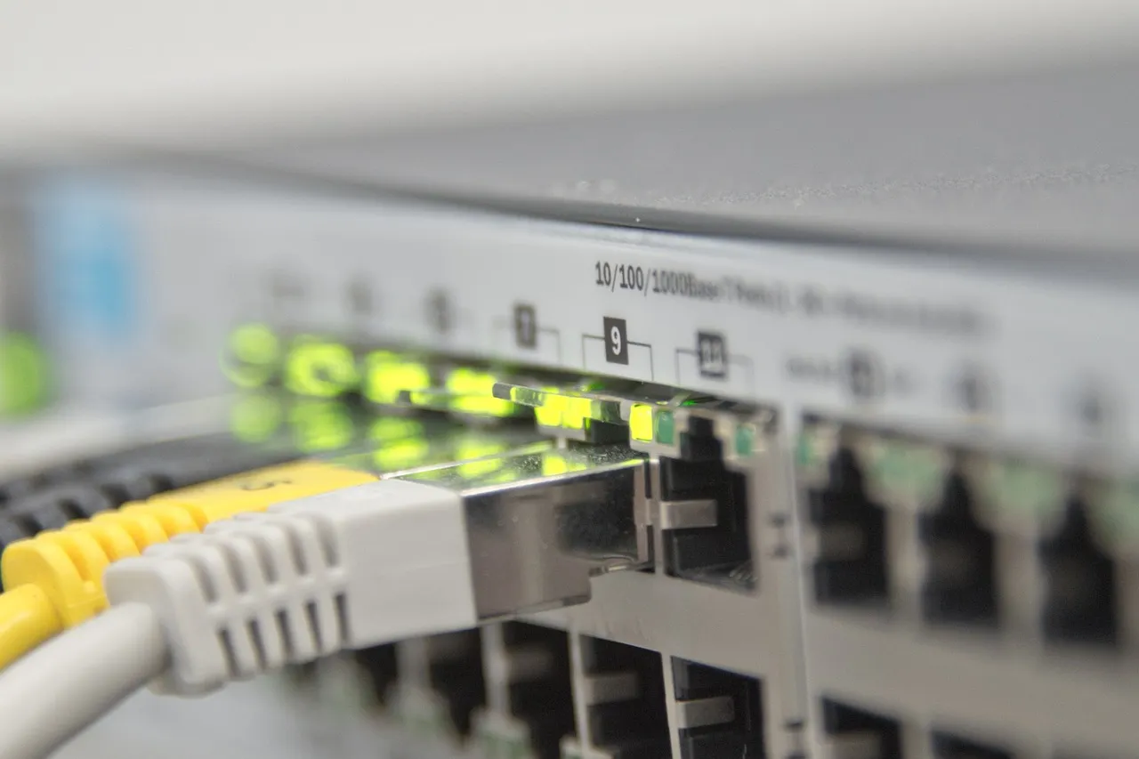 Netzwerk-Switch mit gelben und grauen Patchkabeln