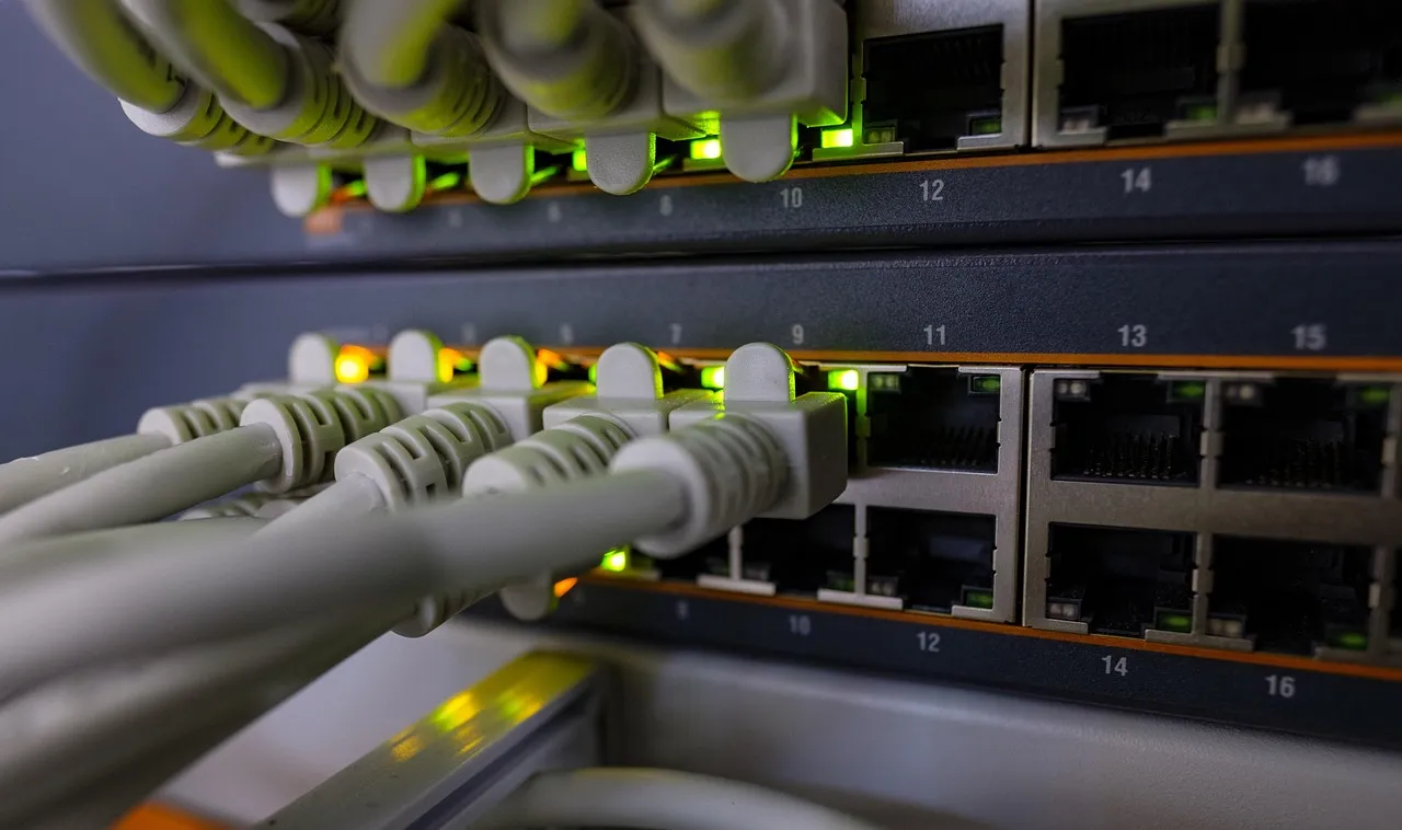 Netzwerk-Switch mit grauen Patchkabeln und leuchtenden Status-LEDs